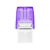 Kingston 金士頓 DataTraveler系列 DTDUO3C U盤 銀紫色 256GB USB/Type-C