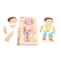 beleduc男孩女孩多层立体拼图玩具儿童人体构造身体部位认知 17170