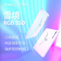Team 十铨 雪镜 ARGB SSD 固态硬盘512GB LITE SATA
