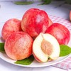 京世澤 當季脆桃水蜜桃 5斤裝 桃子水果