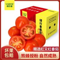 绿行者红又红番茄5斤西红柿新鲜自然熟蔬菜大红番茄新鲜沙瓤有籽 超值小果3斤