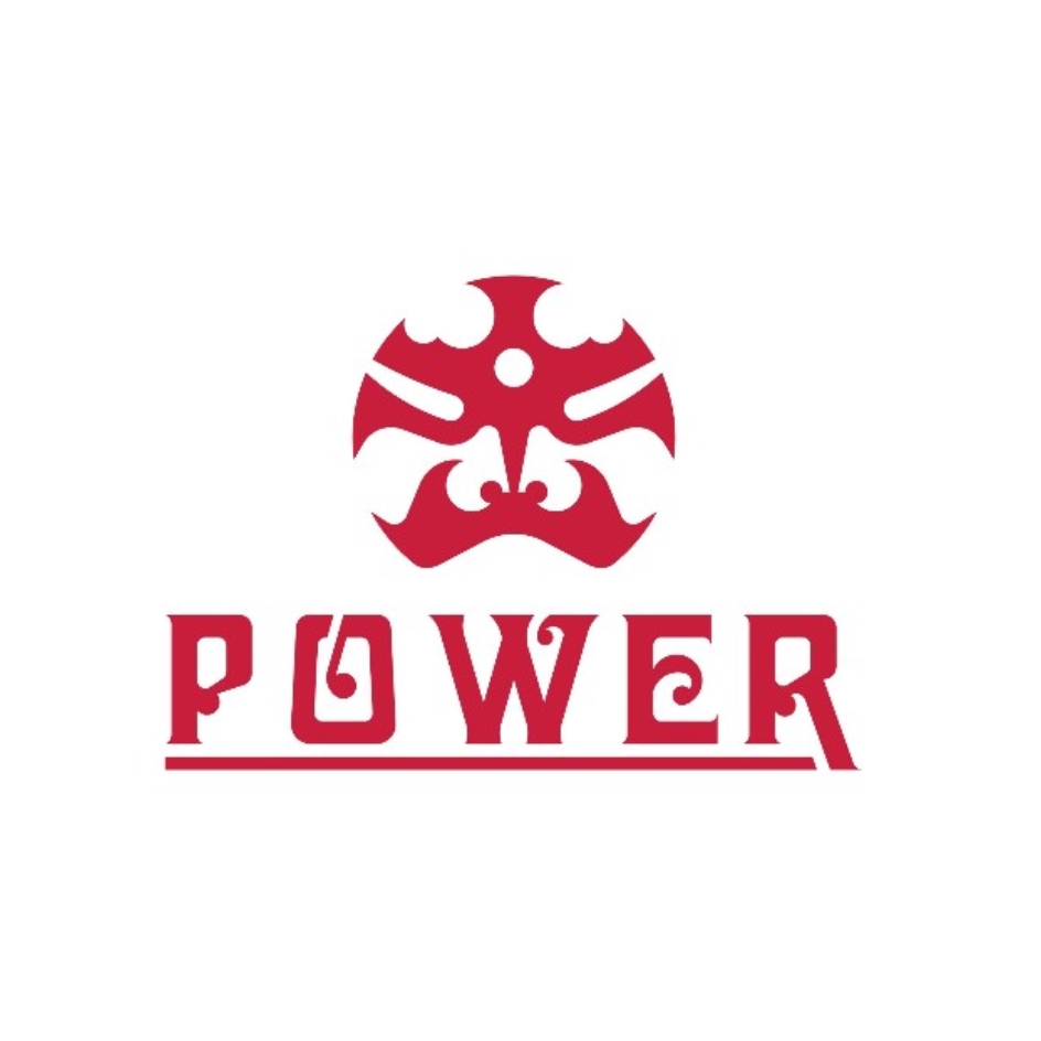 霸王 POWER