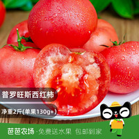 淘乡甜 甘肃普罗旺斯番茄2斤装单果130g+