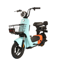 ZUB 五星鉆豹 A8 電動自行車 TDT82Z 48V13Ah鉛酸電池 源彩淺藍/源彩橙