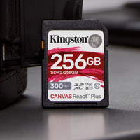 Kingston 金士顿 SDR2系列 SD存储卡 256GB（UHS-II、V90、U3）