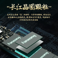 FANXIANG 梵想 国潮系列 S500 PRO NVMe M.2 固态硬盘 2TB（PCI-E3.0）