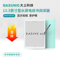 DASUNG 大上科技 13.3英寸墨水屏电纸书阅读器A4 电子纸 DPT-RP1 薄荷绿