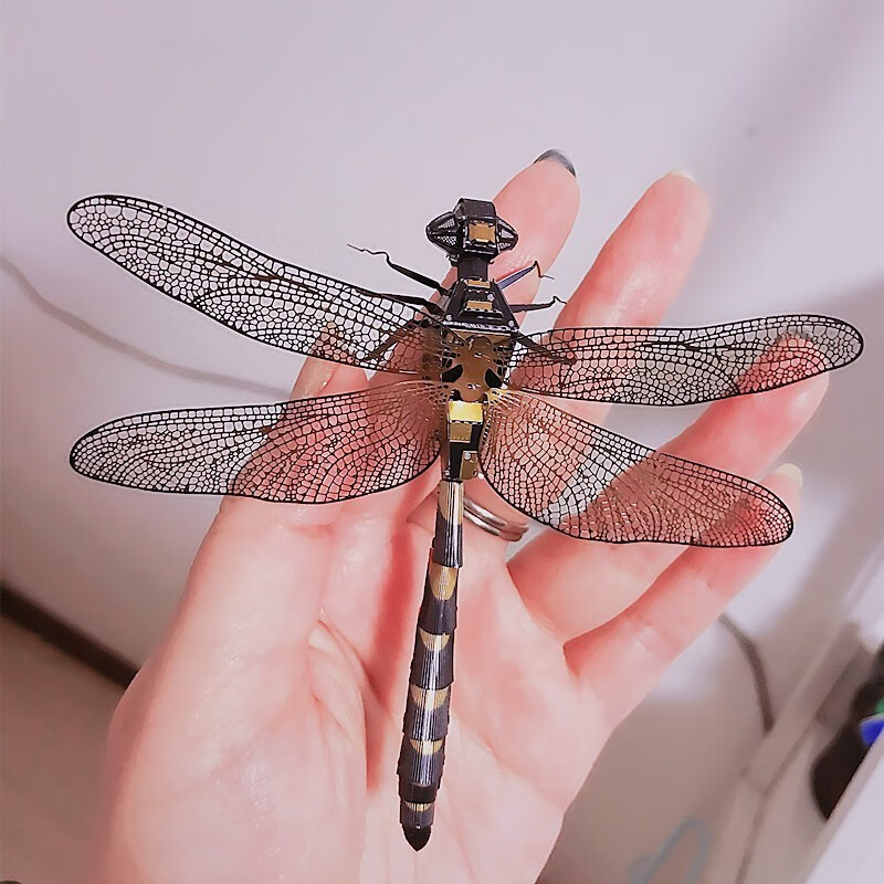 KIDNOAM 3D立体金属拼图 彩色蜻蜓