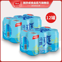 yeo's 杨协成 马蹄爽300ml*6罐*2组共12罐荸荠果肉果汁饮品解渴