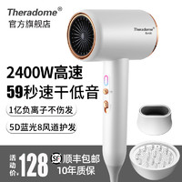 Theradome大功率发廊高速吹风机家用负离子静音冷热风电吹风筒