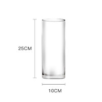 墨斗鱼 玻璃透明植物插花瓶水培容器大花瓶装饰客厅摆件直筒款25cm