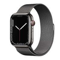 Apple 蘋果 Watch Series 7 智能手表 蜂窩不銹鋼版 + 米蘭尼斯表帶