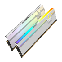 GALAXY 影馳 名人堂HOF PRO DDR5 臺式機內存條套條   DDR5 8000 16G*2 CL36