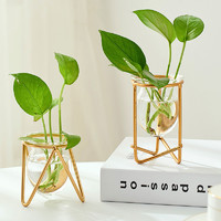BOMAROLAN 堡瑪羅蘭 創意綠蘿水培植物玻璃透明花瓶插花水養花盆鐵藝器皿桌面客廳擺件