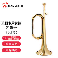 MAMMUT 猛犸象 小步号乐器 C调 B100