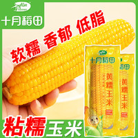百億補貼：SHI YUE DAO TIAN 十月稻田 黃糯玉米 220g