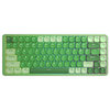 REDRAGON 紅龍 TL84-B 矮軸機械鍵盤 84鍵電競游戲鍵盤熱插拔PBT辦公鍵盤 深綠-紅軸