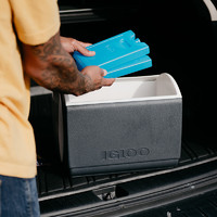 IGLOO 易酷樂 藍冰冰盒背奶儲奶專用冰袋制冷冷藏保鮮保溫箱運輸
