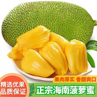水果 保蓉生鲜水果俱乐部 海南三亚 15-19斤菠萝蜜