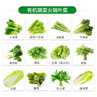 有机汇 有机蔬菜套餐青菜叶菜火锅菜新鲜食材生吃蔬菜5-6种共3斤沙拉农场