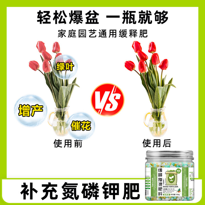 施滋复合颗粒缓释肥控释持久肥效植物花卉家庭园艺通用型氮磷钾肥 基质营养土套餐（基础种植） 赠量勺