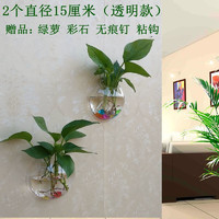 出极 挂壁式鱼缸客厅卧室墙壁装饰品壁挂花盆墙面装饰壁挂水培水栽植物 直径15CM透明款(2个)