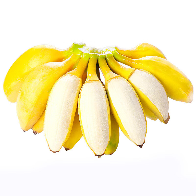 乡语小吖广西小米蕉 5斤 粉蕉糯米香蕉 现摘苹果芭蕉 新鲜水果 京东生鲜