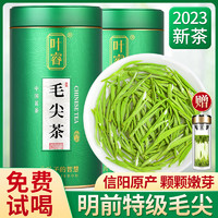 毛尖2023新茶正宗信阳原产明前特级绿茶罐装茶叶官方旗舰店500g
