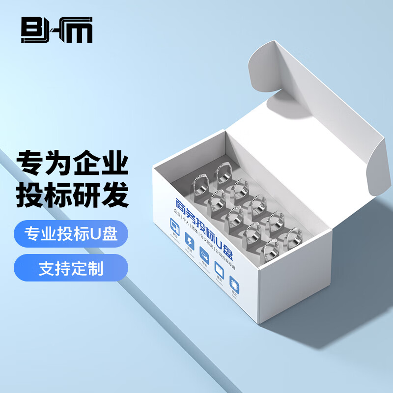 百汇铭（BHM）高品质投标u盘小容量usb标书招标办公优盘招标专用定制logo 10支装（定制） 1GB