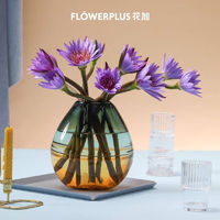 FlowerPlus 花加 紫色睡莲 10枝