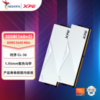 ADATA 威刚 XPG威龙-LANCER DDR5 5600 台式机内存条 32GB（16GB*2）套条