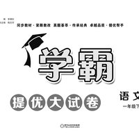 《学霸提优大试卷》年级科目任选，模拟试卷测试卷全套练习册