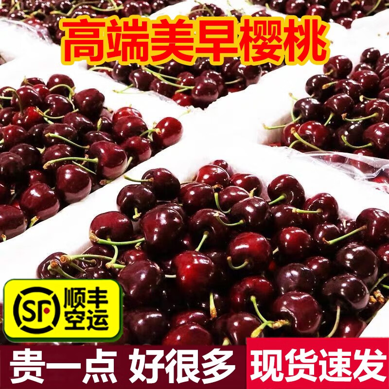 乡语小吖大连美早樱桃 1斤XL装 果经24-26mm 国产大樱桃时令新鲜水果 生鲜