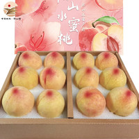 无锡阳山水蜜桃 单果4-5两 12个礼盒装 净重5斤多
