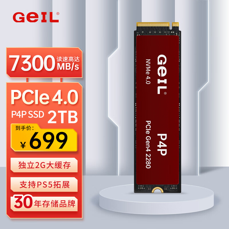GeIL 金邦 P4P SSD固态硬盘 PCIe4.0 2TB 带独立缓存