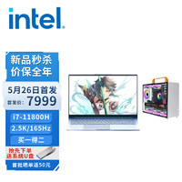 YXPC 游享 英特尔Intel笔记本云电脑工作站X16远控RTX3050 标压i7-11800H 16英寸2.5K165Hz高色域屏 32G 1TB 双整机