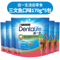 齿一生 猫零食Dentalife 猫饼干成猫洁齿磨牙预防牙结石 临期9月】三文鱼170g5包