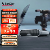 SanDisk professional 闪迪大师 大师极客 桌面硬盘 12TB