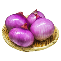 美香农场 精选国产紫皮洋葱 葱头  5斤