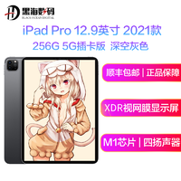 Apple 蘋果 2021新款 iPad Pro 12.9英寸 256G 5G插卡版 蘋果平板電腦 MHRH3 深空灰色 海外版