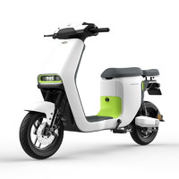LUYUAN 綠源 48V24A鋰電池 新國標電動自行車