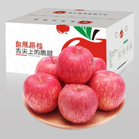 自然搭档 陕西洛川苹果红富士新鲜时令生鲜正宗脆甜苹果 5斤大果（净重5斤果径85mm以上）