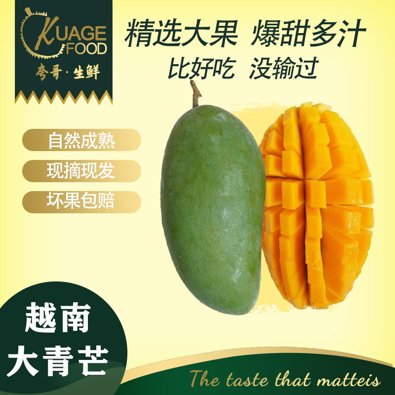 鲜其 凯特芒果特大甜芒 整箱9斤单果1斤以上.