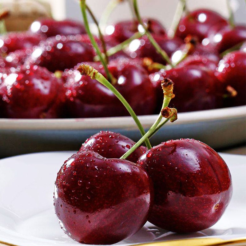 卡布诺辽宁大连美早大樱桃鲜果车厘子新鲜水果国产现摘应季生鲜特产空运 2.5kg 中果 J 26-28mm