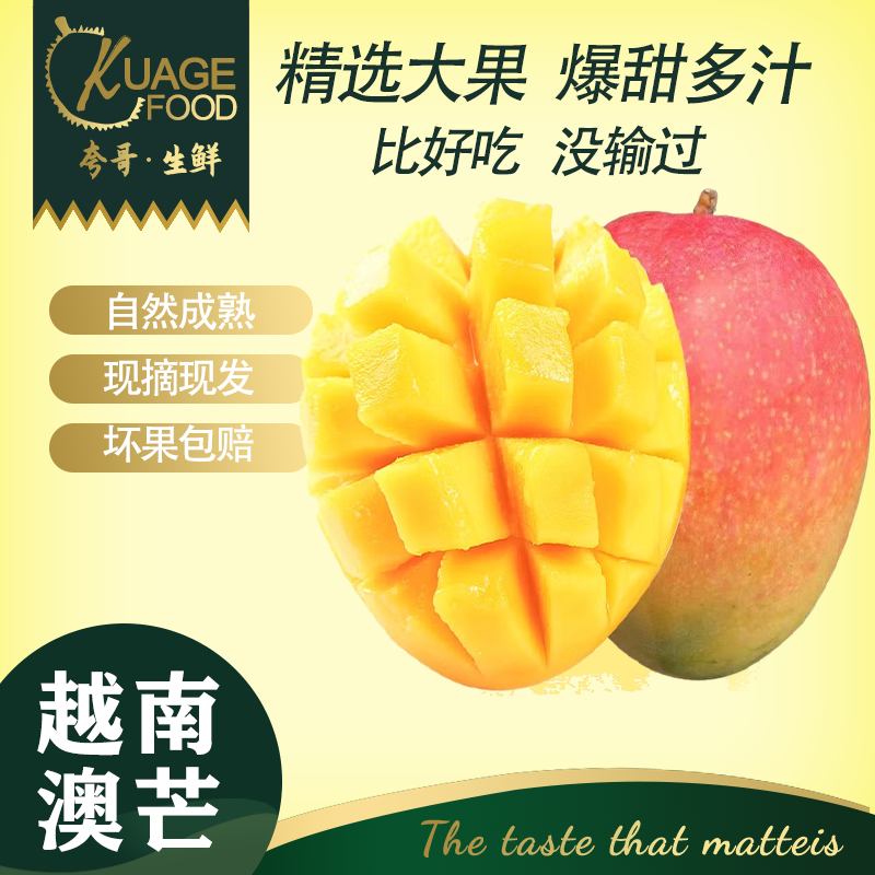 鲜其越南澳芒9斤装商超品质精选一级特大果芒果新鲜水果整箱 .精选澳芒9斤单果一斤以上
