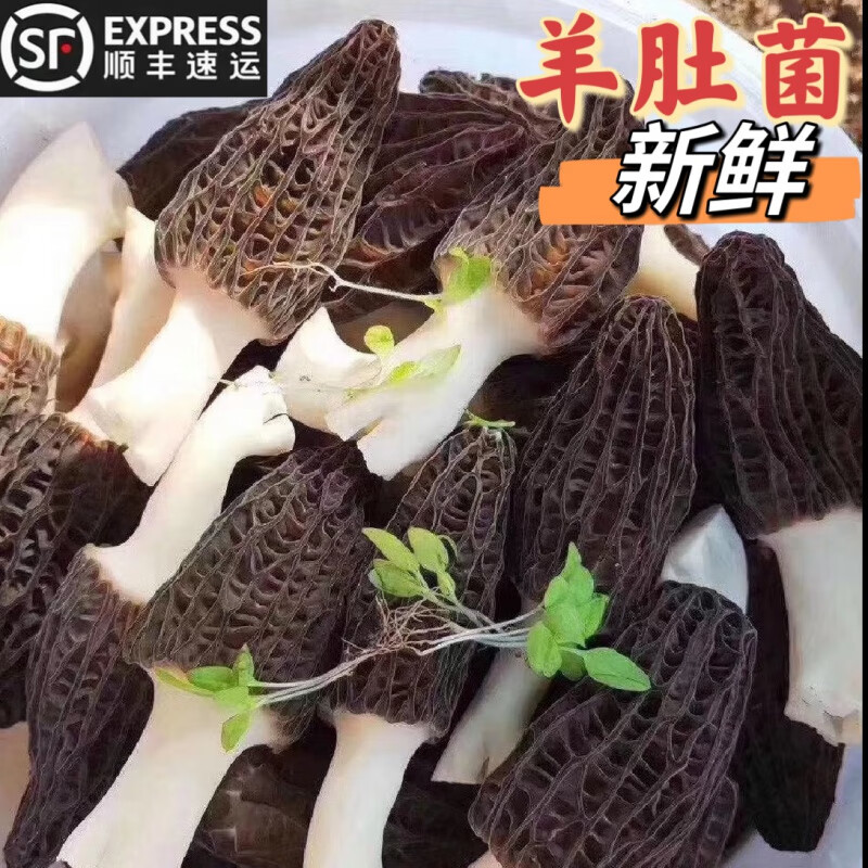 青樱红荔贵州深山特产食用菌新鲜当季现货羊肚菌野生蘑菇菌菇顺丰 浅棕色 250g