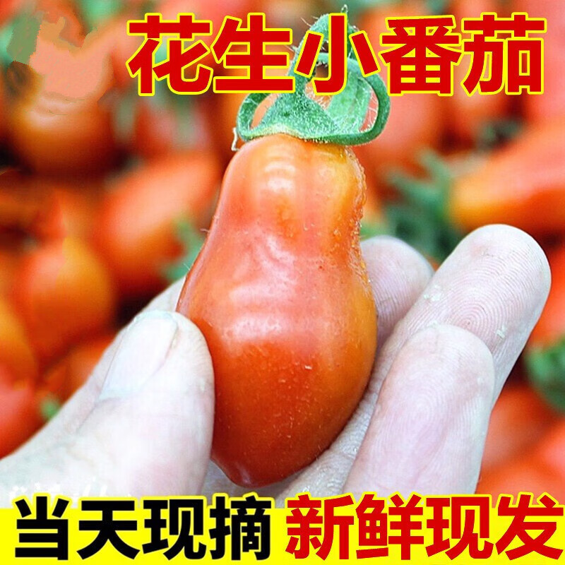 青樱红荔顺丰东北花生圣女果新鲜西红柿番茄小柿子农家蔬菜 1斤