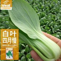 IDEAL理想农业 小白菜种子四季青油菜小白菜耐热耐寒菜种籽15g*1袋