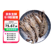 Seamix 禧美海产 马来西亚活冻黑虎虾600g/盒 15-18只(加大号) 老虎虾 超大虾 烧烤