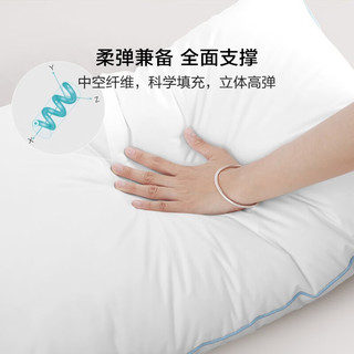 BLISS 百丽丝 抗菌防螨对枕芯 2只 48cm×74cm